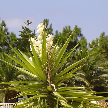 Ikaria Village Maisonette 10 Klorakas Екстериор снимка