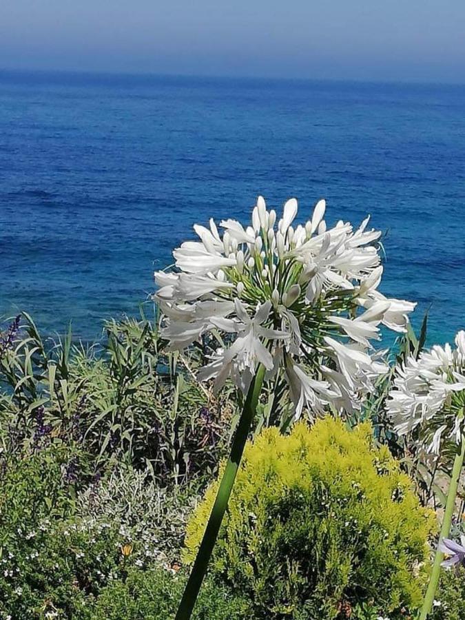 Ikaria Village Maisonette 10 Klorakas Екстериор снимка