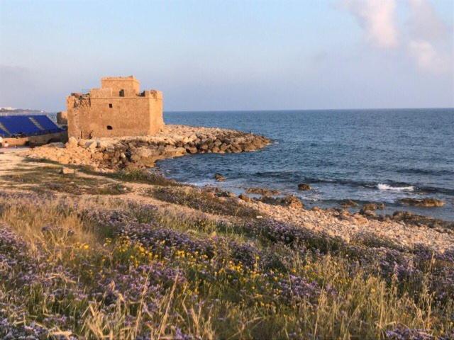 Ikaria Village Maisonette 10 Klorakas Екстериор снимка